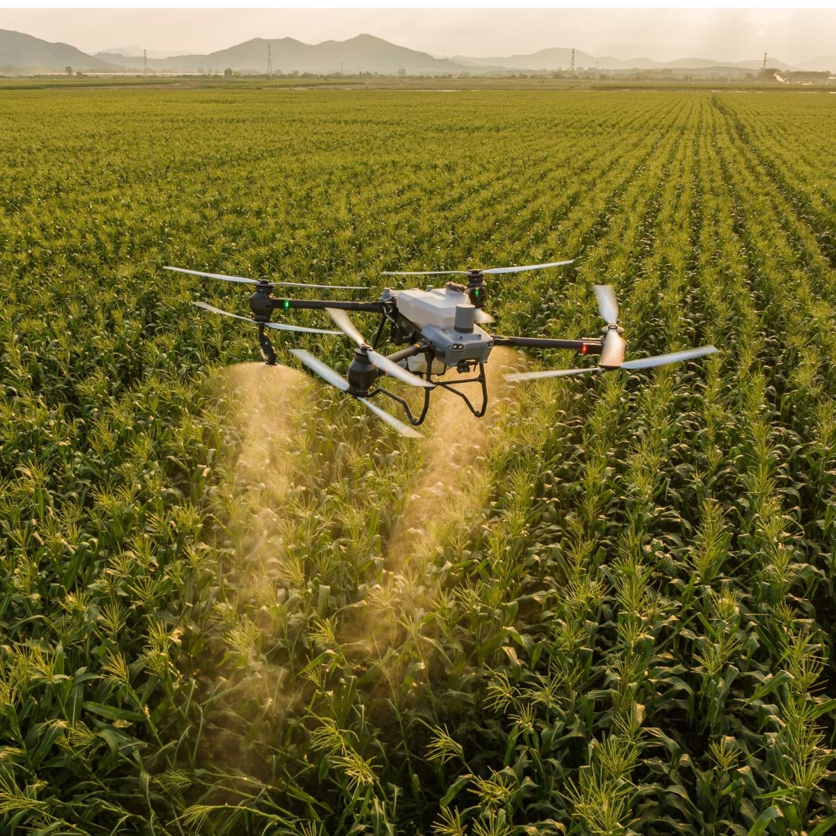 Imagem de Drone na Lavoura